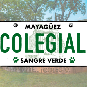 Tablilla Colegial Sticker